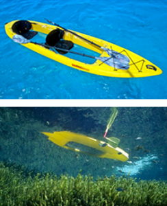 clear bottom kayak