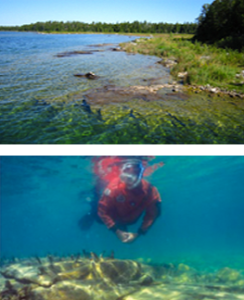 snorkling in lake